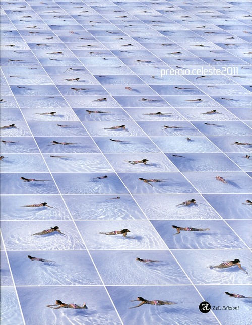 Premio Celeste 2011