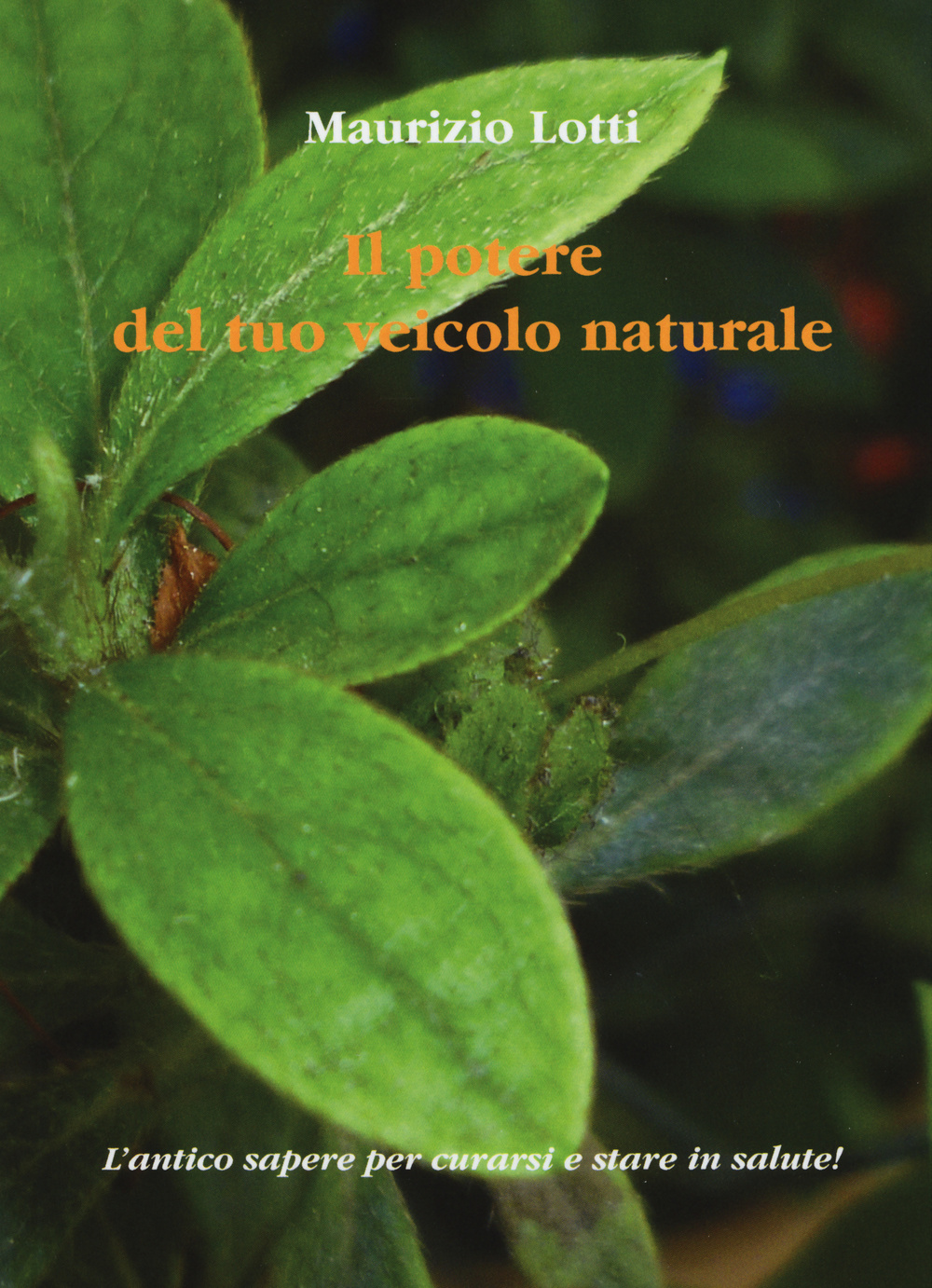 Il potere del tuo veicolo naturale