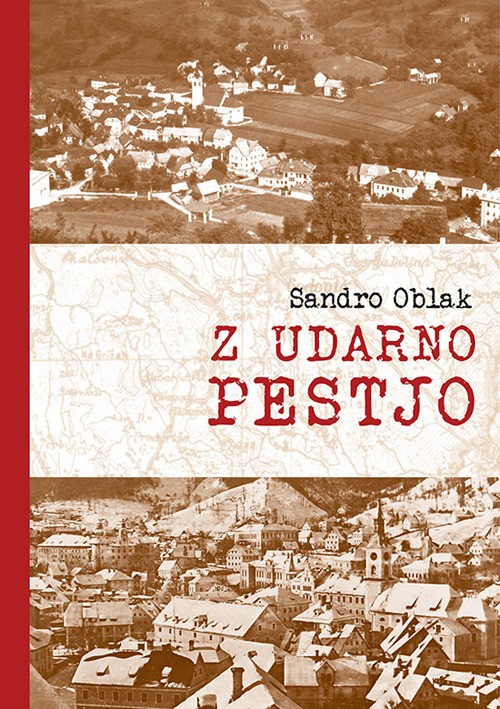 Z udarno pestjo. Odnos ljudske oblasti do resničnih in namišljenih domačih nasprotnikov na Idrijskem in Cerkljanskem (1943-1950)