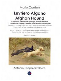 Levriero afgano. Confronto tra le varie tipologie morfofunzionali-Afghan hound. Comparison among different morphofuncional types