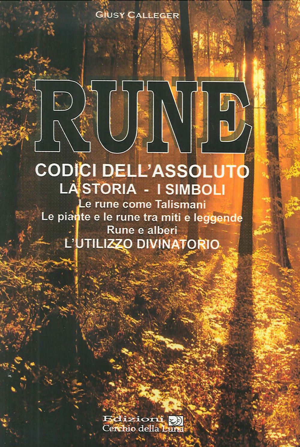 Rune. Codici dell'Assoluto. La storia, i simboli