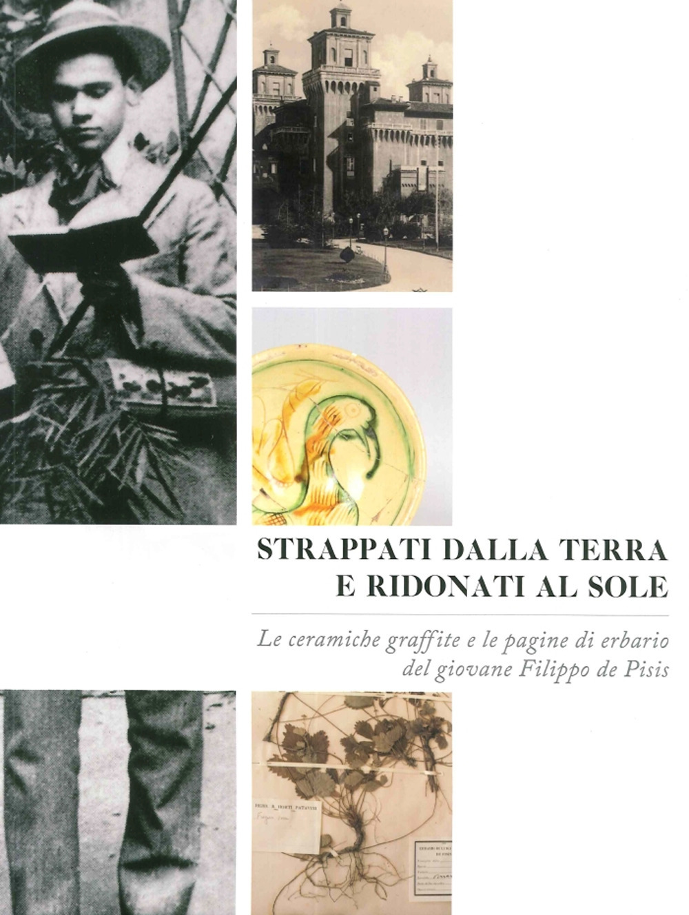 Strappati dalla terra e ridonati al sole. Le ceramiche graffite e le pagine di erbario del giovane Filippo De Pisis