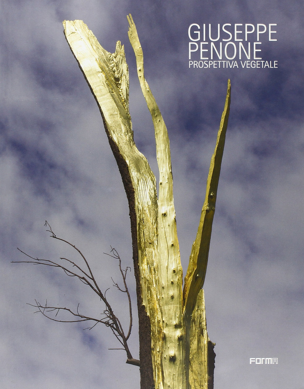 Giuseppe Penone. Vegetable perspective