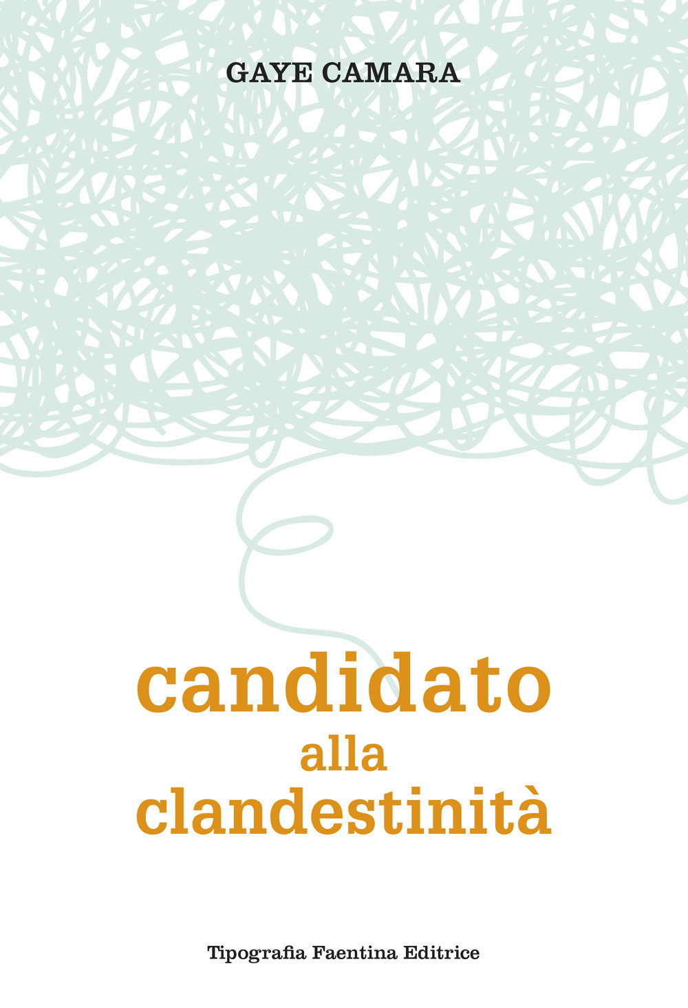 Candidato alla clandestinità. Come trovare la soluzione all'immigrazione