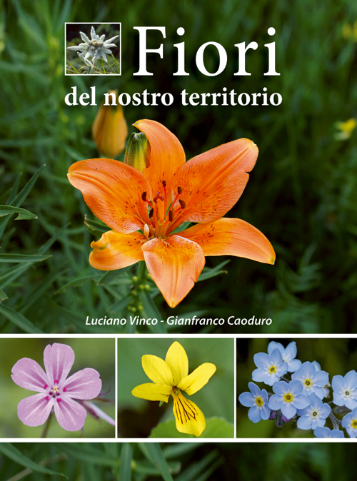 Fiori del nostro territorio