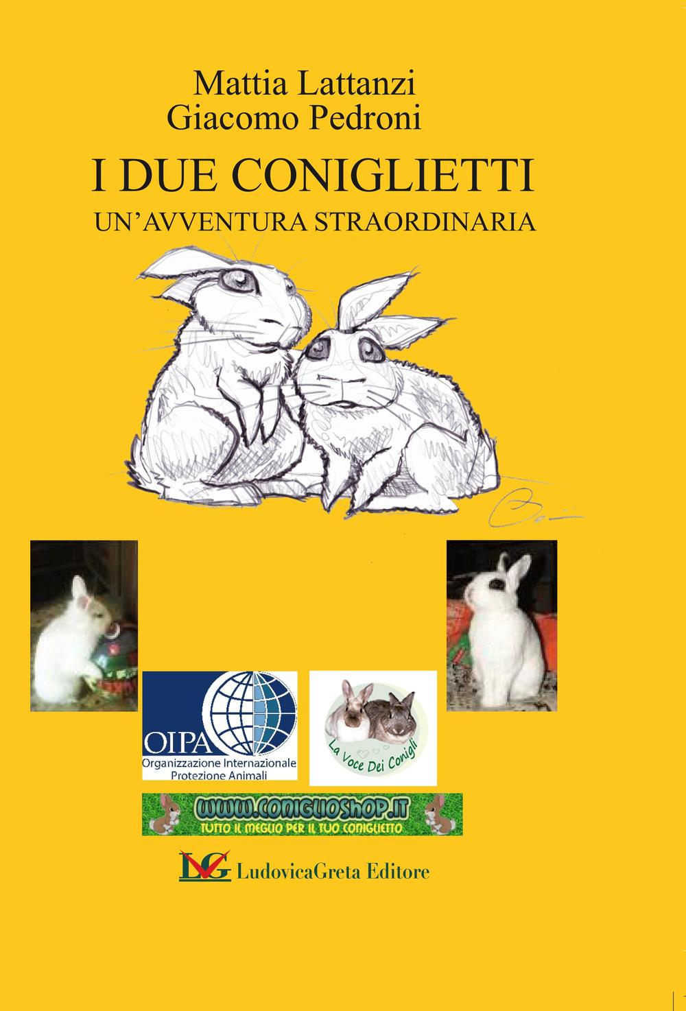 I due coniglietti. Un'avventura straordinaria