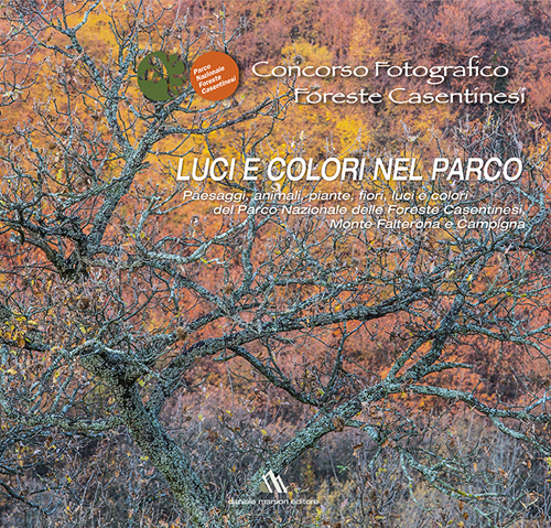 Concorso fotografico foreste casentinesi. Luci e colori nel parco