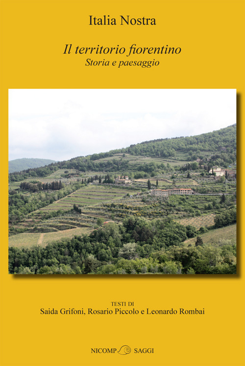 Il territorio fiorentino. Storia e paesaggio