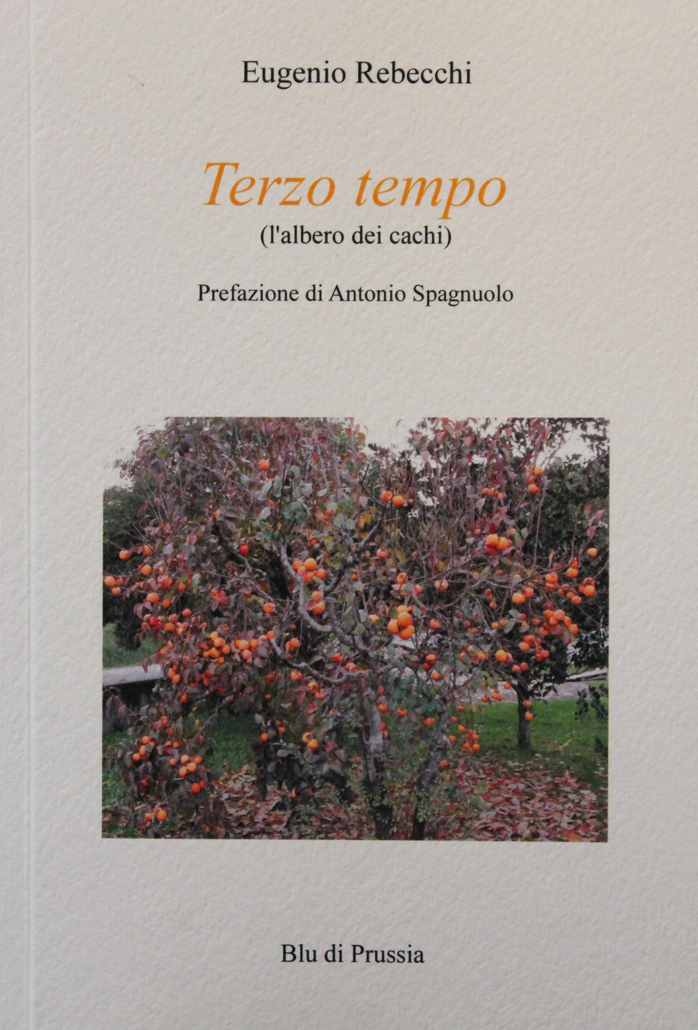 Terzo tempo (l'albero dei cachi)