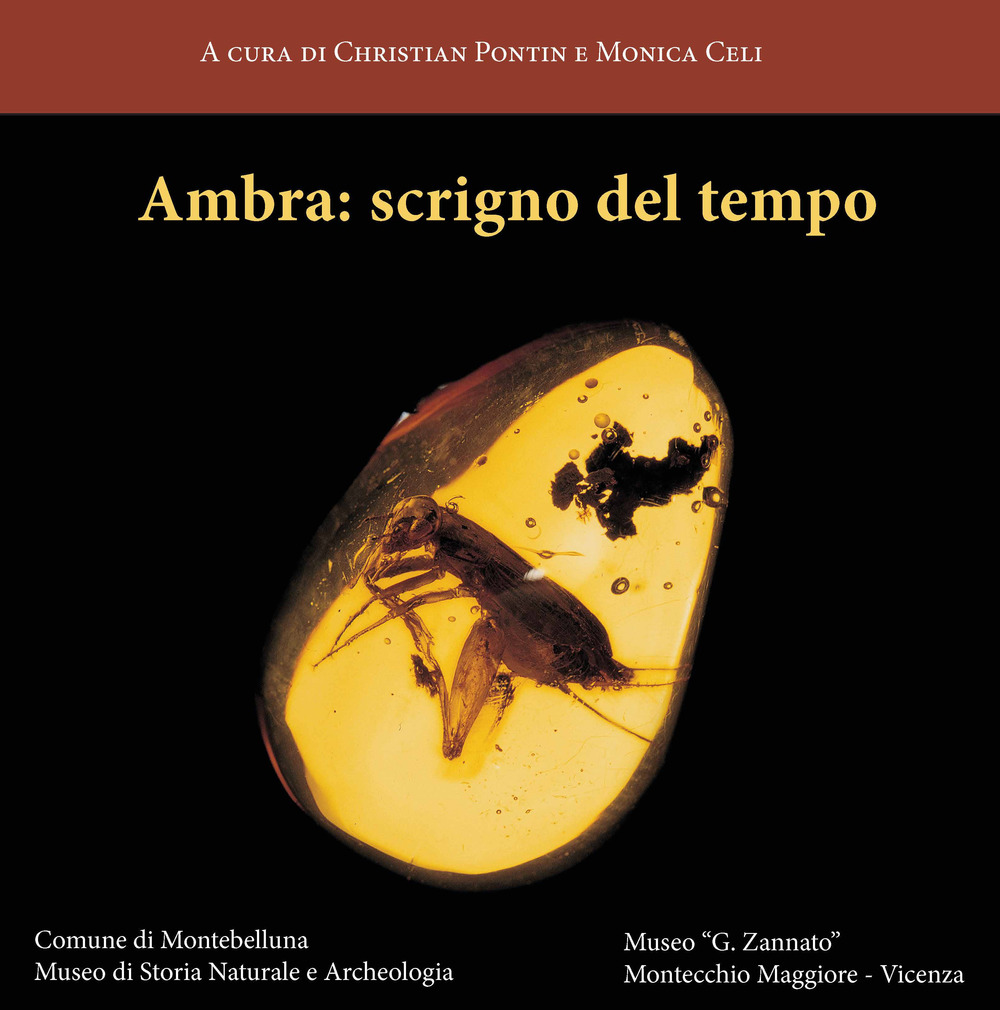 Ambra: scrigno del tempo