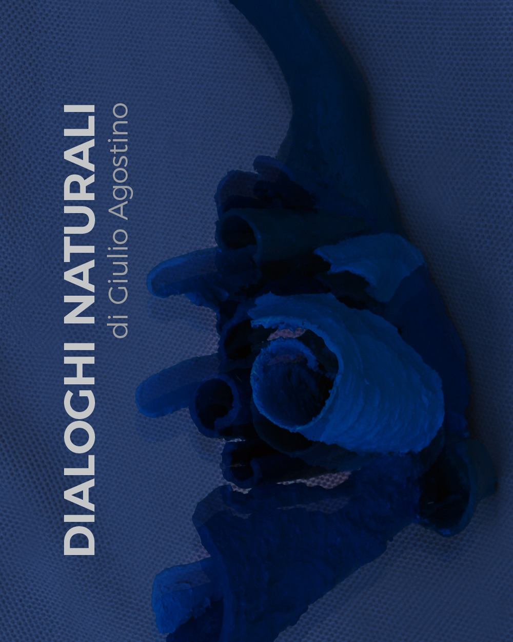 Dialoghi naturali. Giulio Agostino