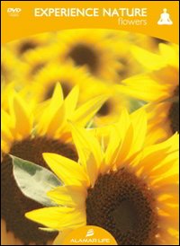 Experience nature flowers
