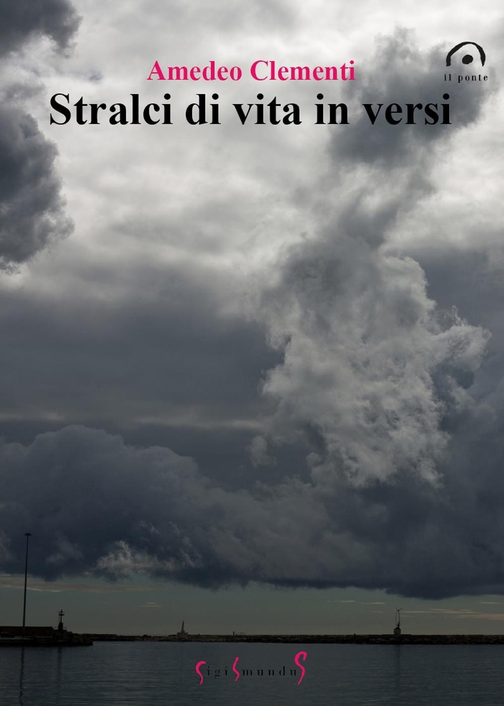 Stralci di vita in versi