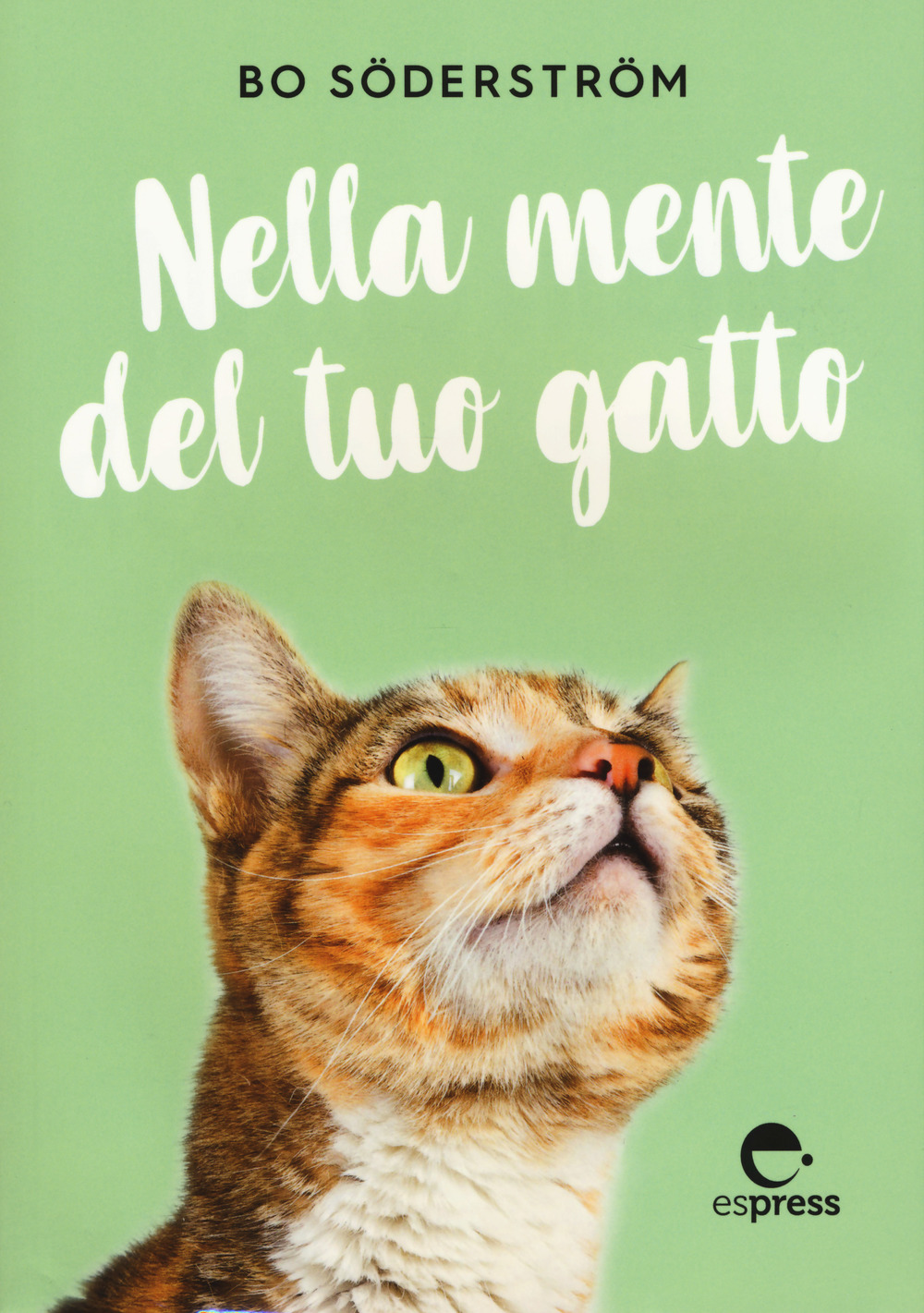 Nella mente del tuo gatto