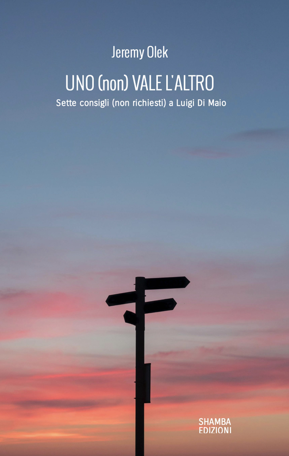 Uno (non) vale l'altro. Sette consigli (non richiesti) a Luigi Di Maio