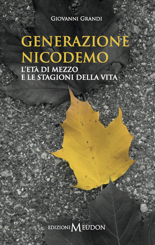 Generazione Nicodemo. L'età di mezzo e le stagioni della vita