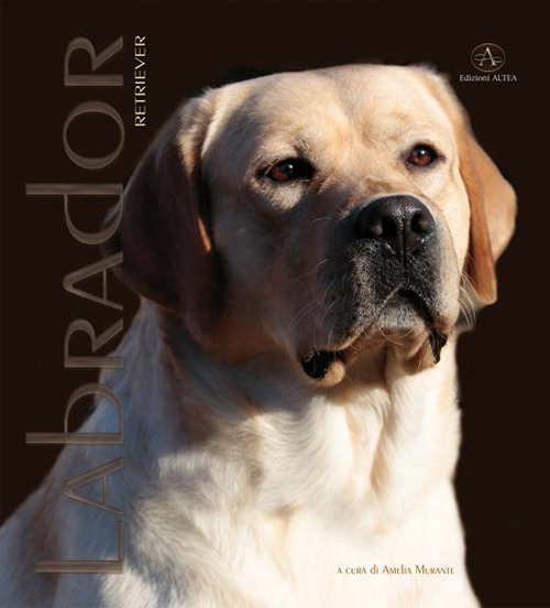 Labrador Retriver. Monografia fotografica