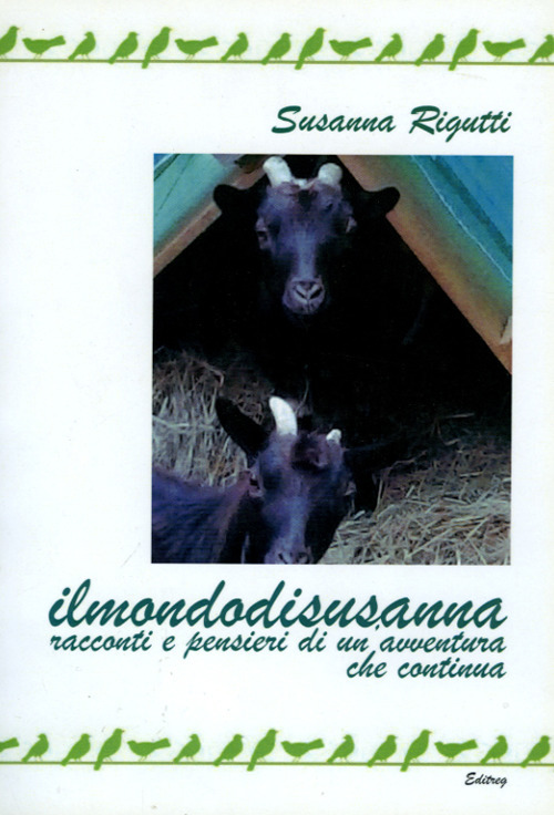 Ilmondodisusanna. Racconti e pensieri di un'avventura che continua