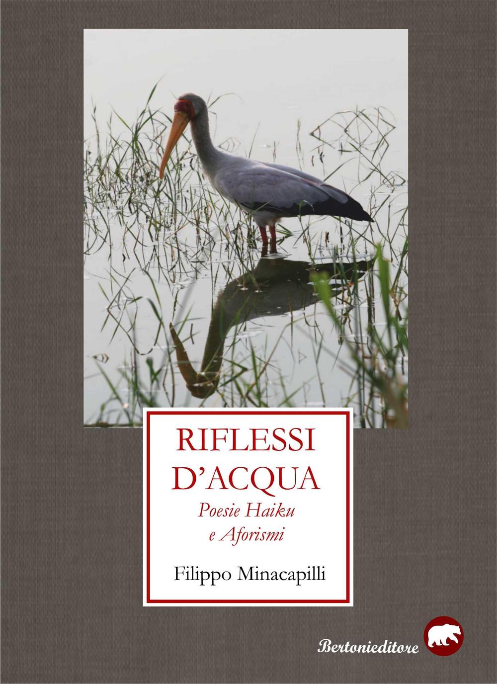 Riflessi d'acqua. Poesie haiku e aforismi