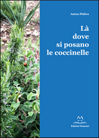 Là dove si posano le coccinelle