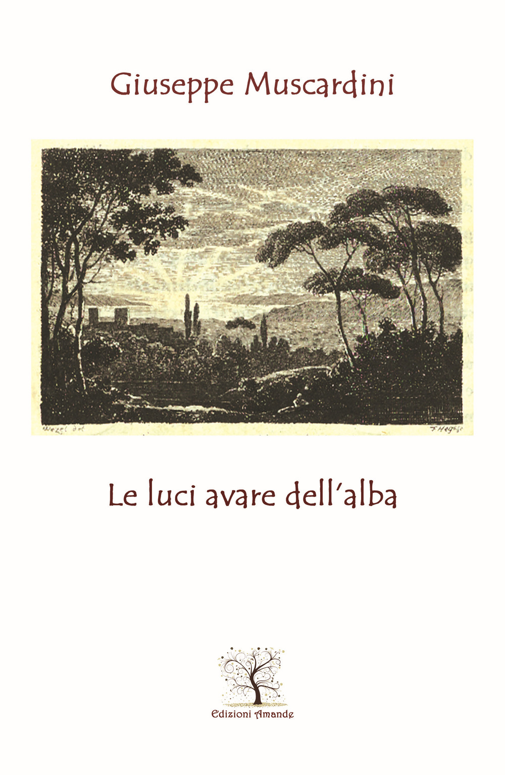 Le luci avare dell’alba