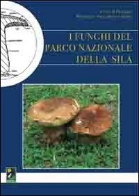 I funghi del Parco nazionale della Sila