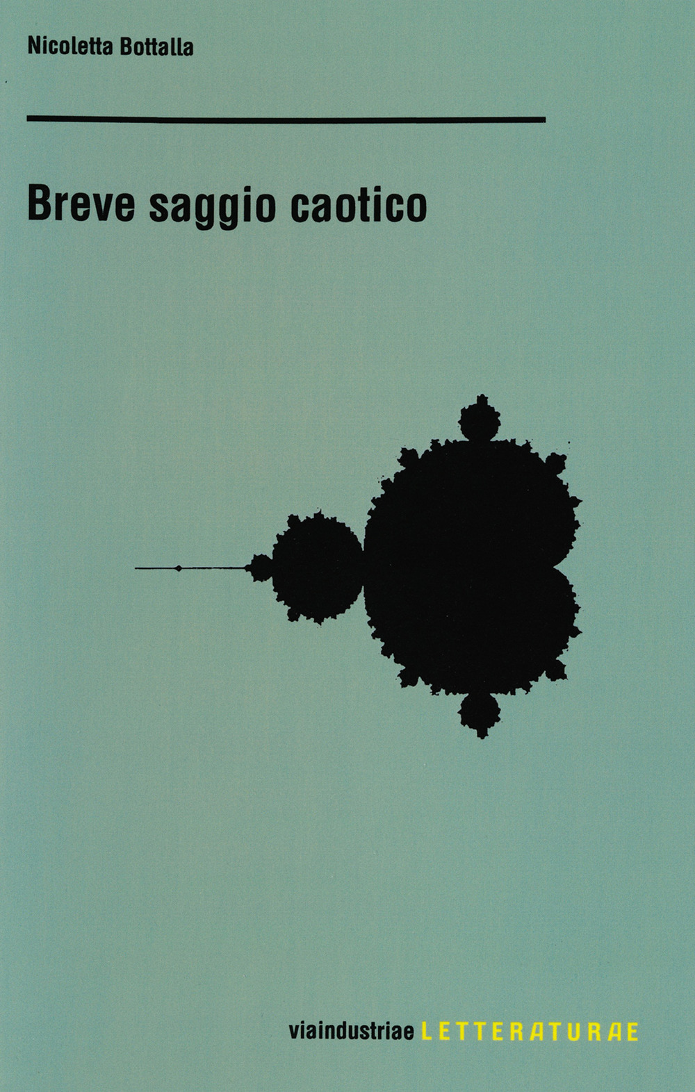 Breve saggio caotico