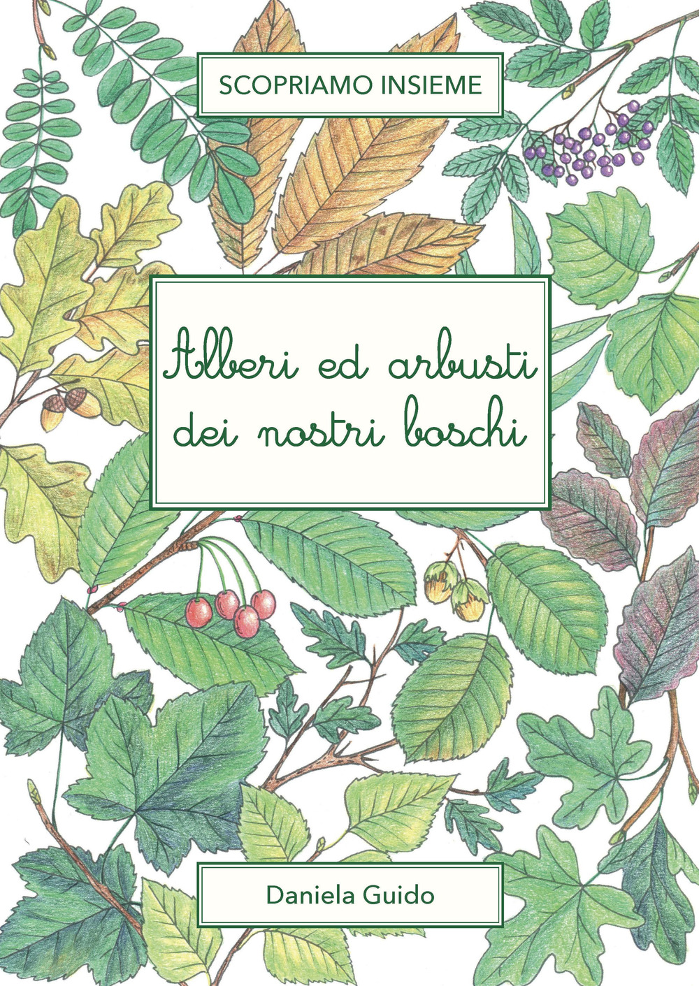 Alberi e arbusti dei nostri boschi