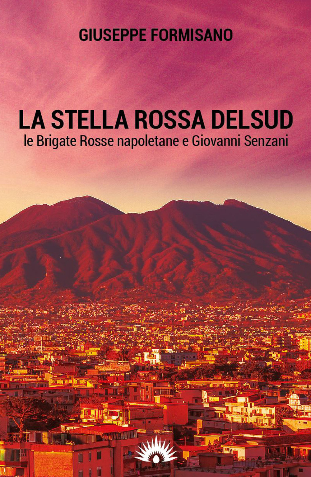 La Stella Rossa del Sud. Le Brigate Rosse napoletane e Giovanni Senzani