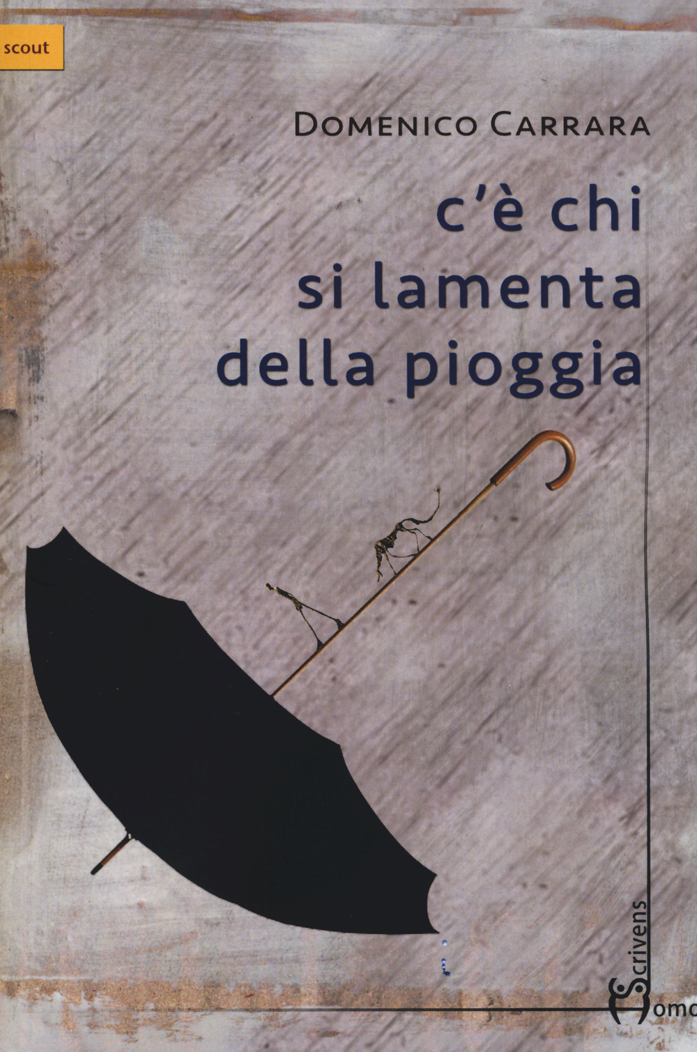 C'è chi si lamenta della pioggia