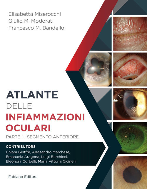 Atlante delle infiammazioni oculari. Vol. 1: Segmento anteriore