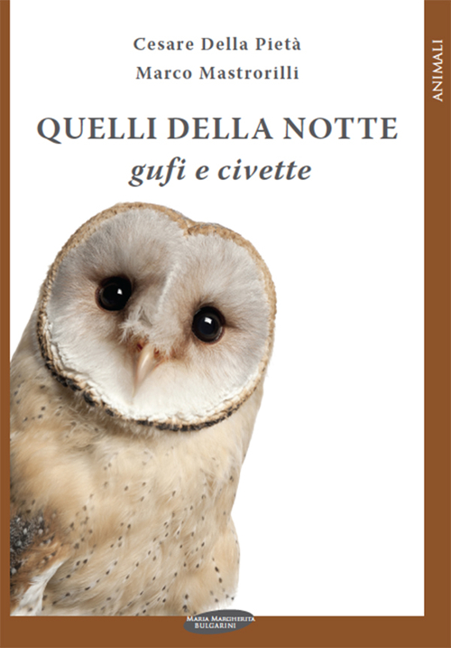 Quelli della notte: gufi e civette