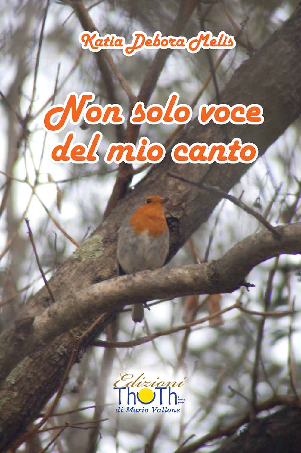 Non solo voce del mio canto