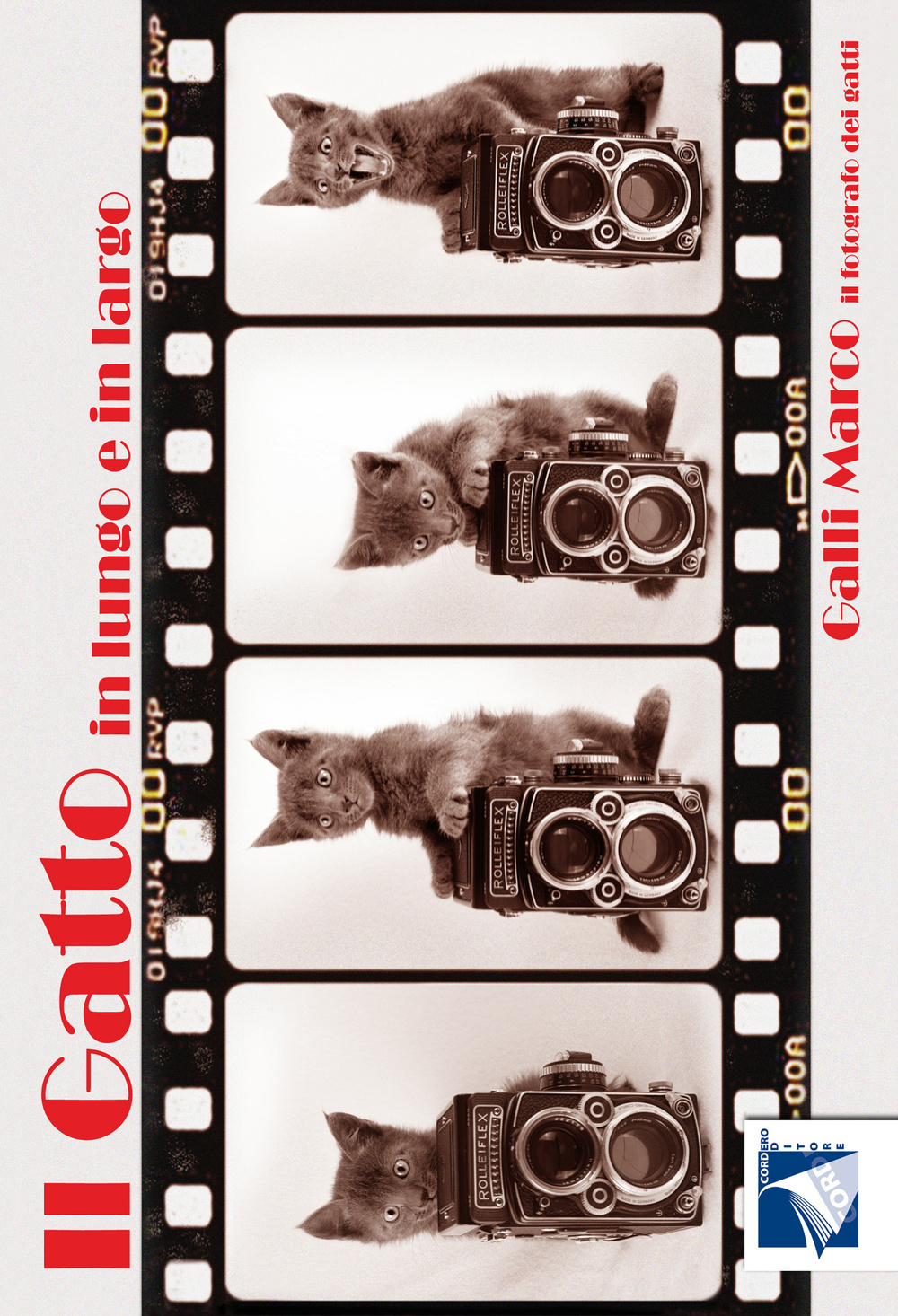 Il gatto in lungo e in largo