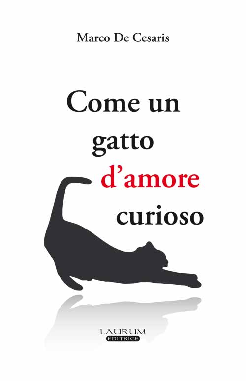 Come un gatto d’amore curioso