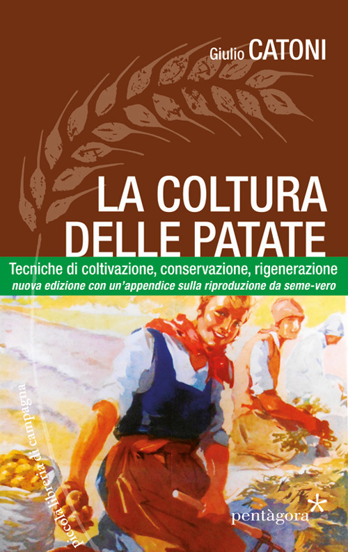 La coltura delle patate. Tecniche di coltivazione, conservazione rigenerazione