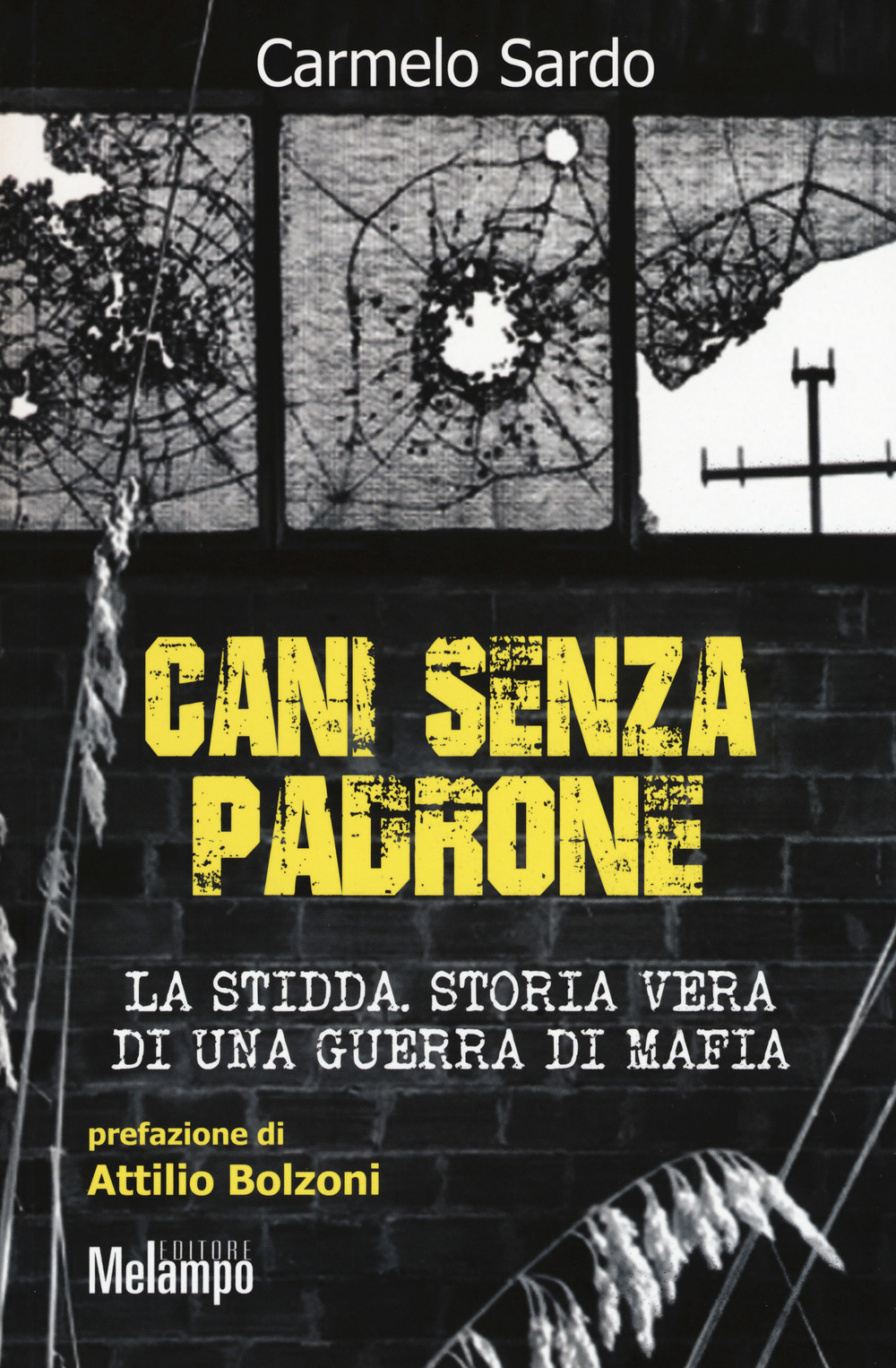 Cani senza padrone. La Stidda. Storia vera di una guerra di mafia
