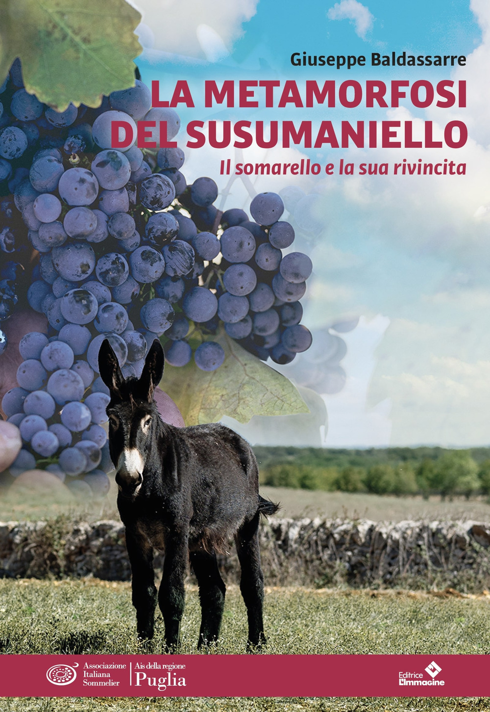 La metamorfosi del susumaniello. Il somarello e la sua rivincita