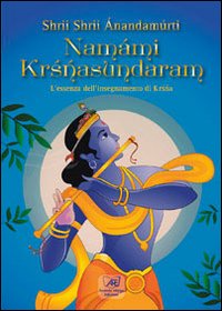 Namámi Krisnasundaram. L'essenza dell'insegnamento di Krisnasunbdaram