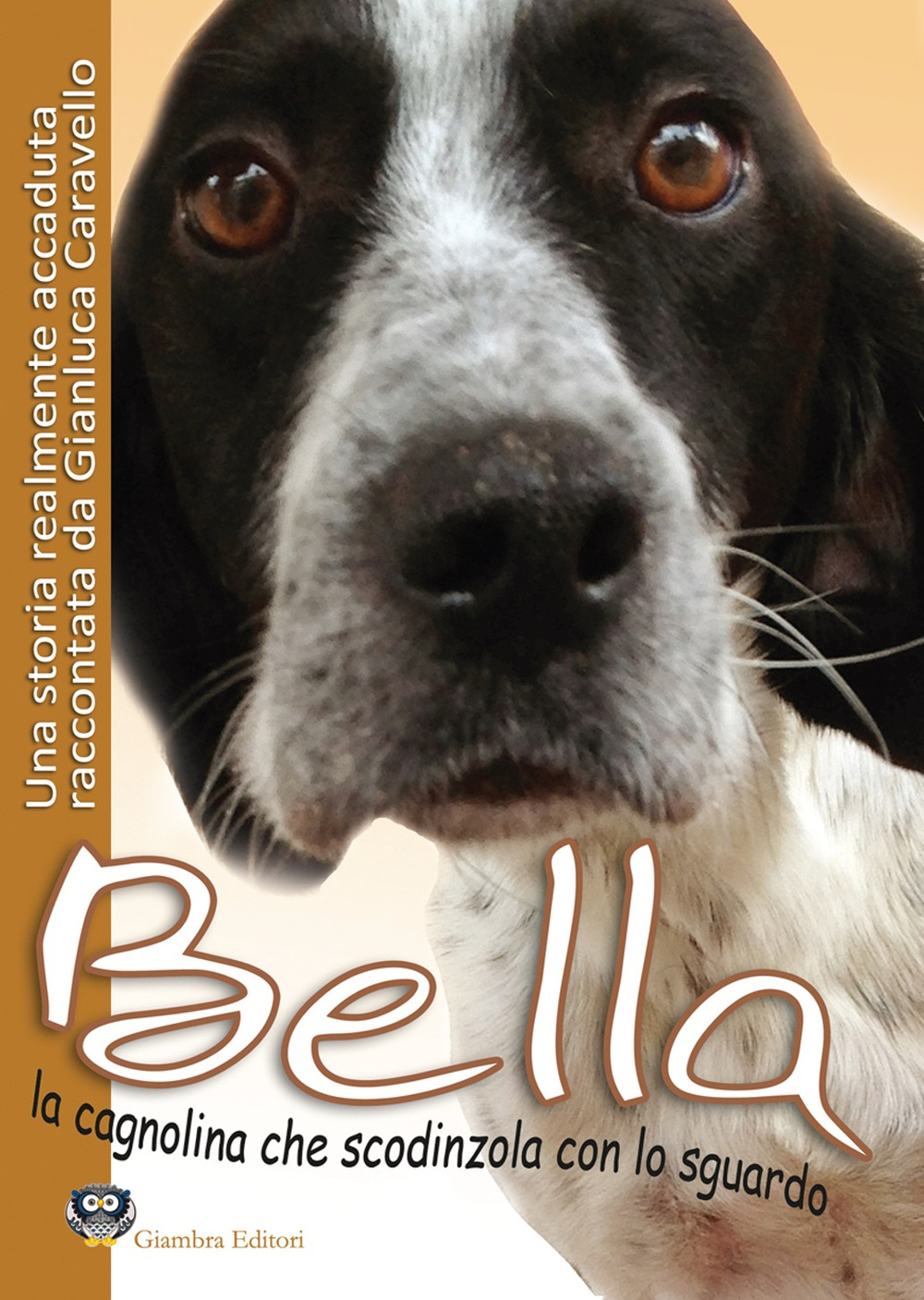 Bella la cagnolina che scodinzola con lo sguardo