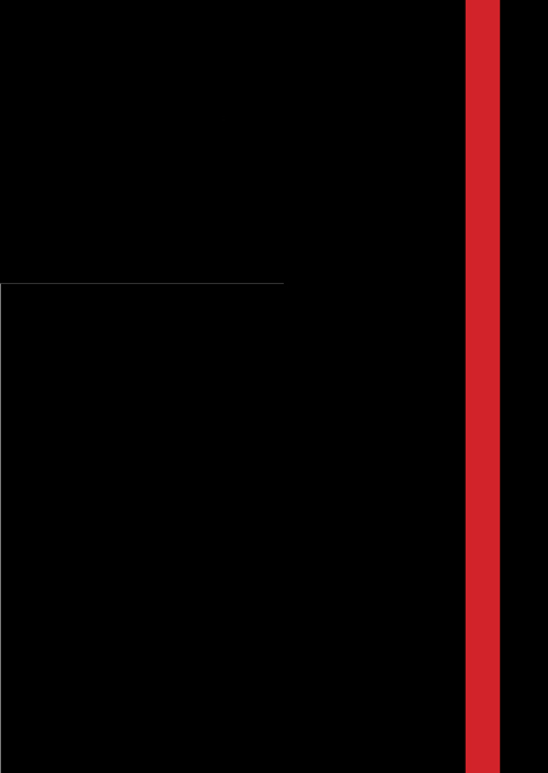 Il carnet de croquis di un liutaio