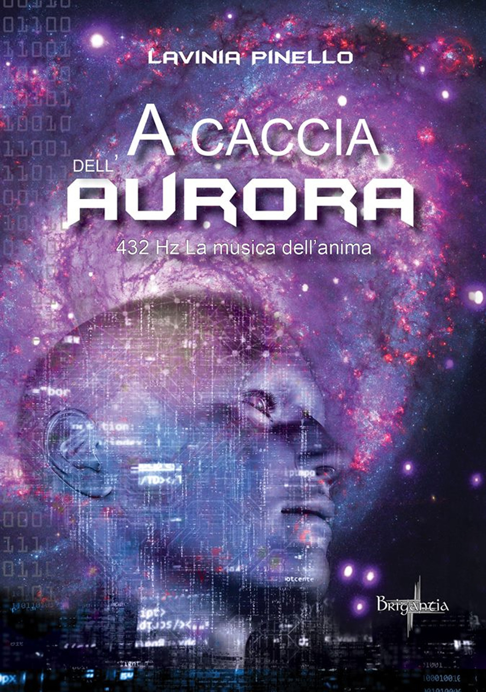A caccia dell'aurora. 432 Hz. La musica dell’anima