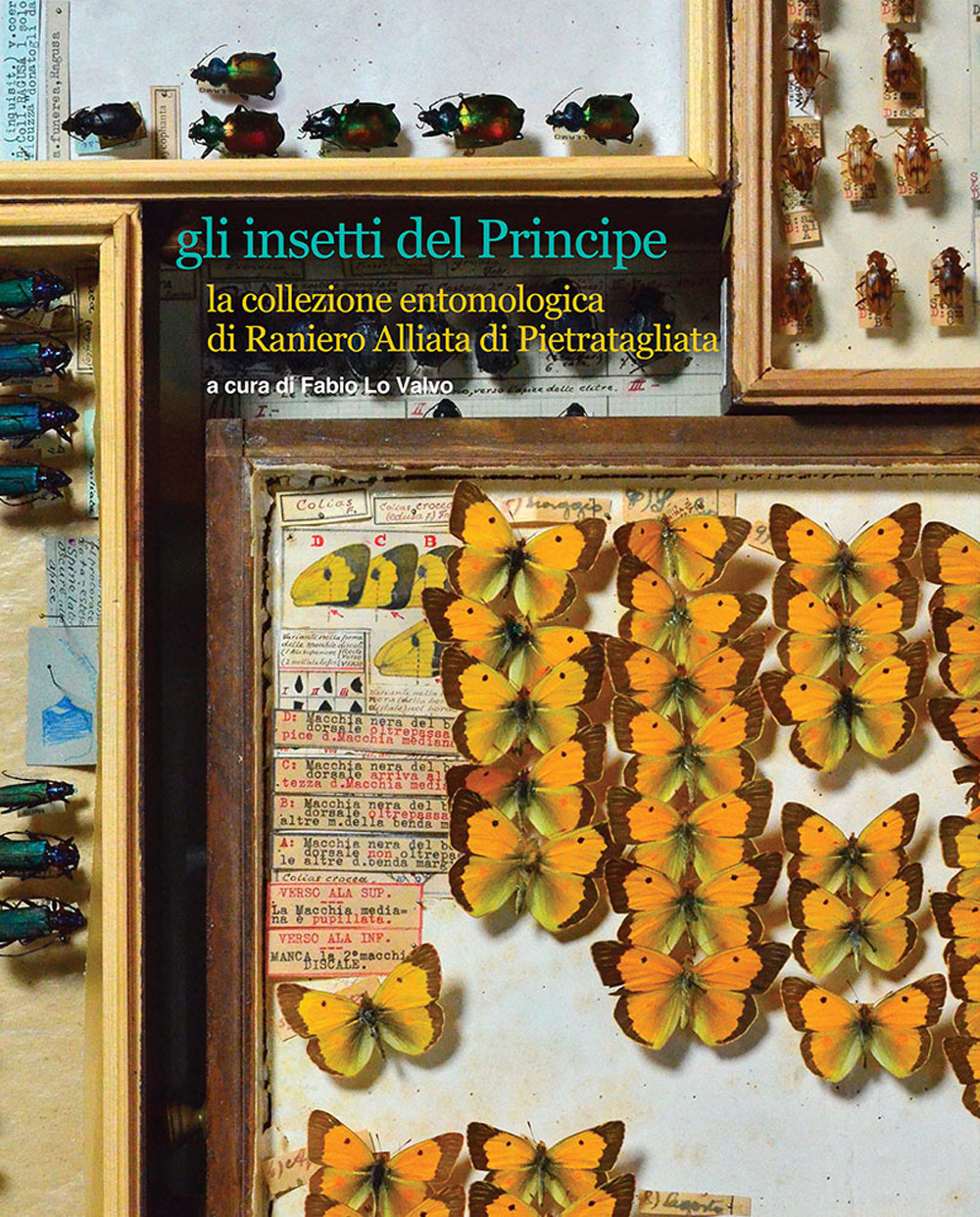 Gli insetti del Principe. La collezione entomologica di Raniero Alliata di Pietratagliata