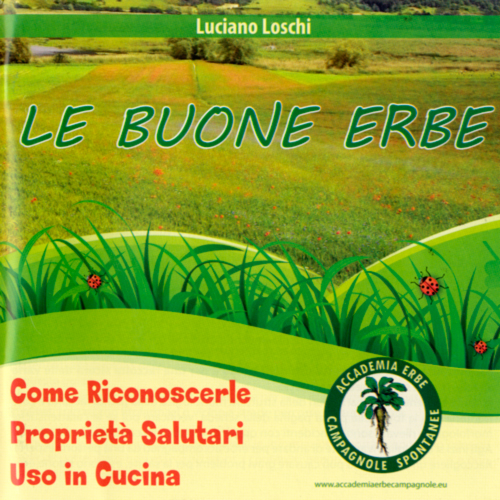 Le buone erbe. Come riconoscerle. Proprietà salutari. Uso in cucina