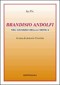 Brandisio Andolfi nel giudizio della critica