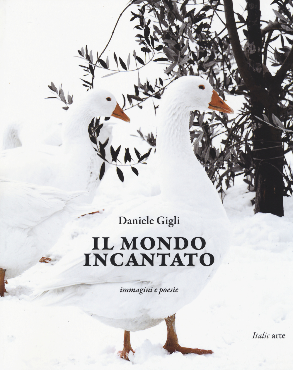 Il mondo incantato. Immagini e poesie