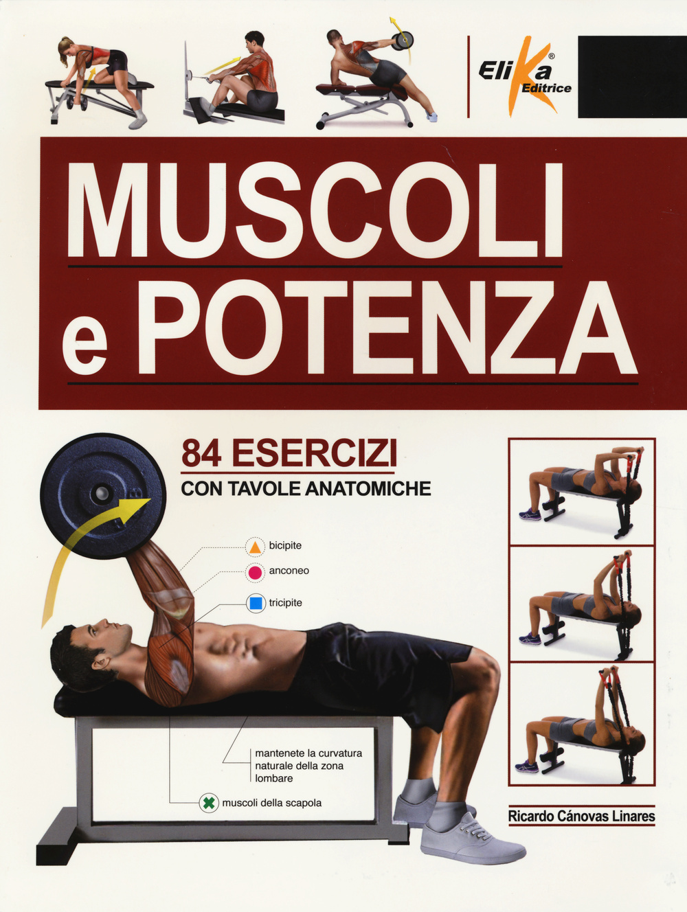 Muscoli e potenza. 84 esercizi con tavole anatomiche