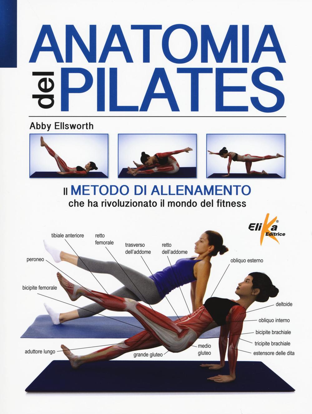 Anatomia del pilates
