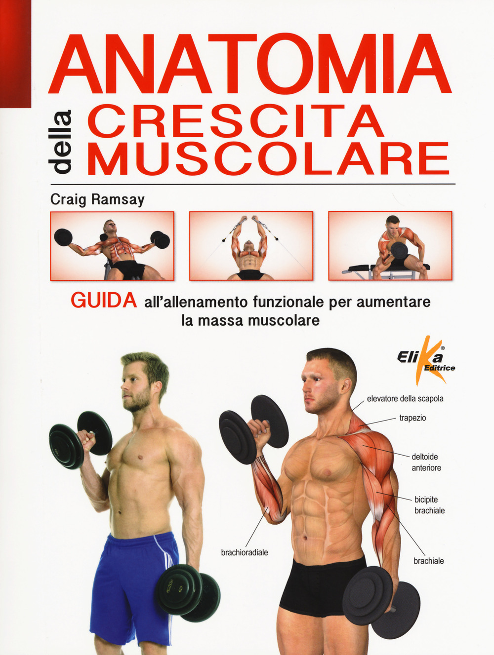 Anatomia della crescita muscolare. Guida all'allenamento funzionale per aumentare la massa muscolare
