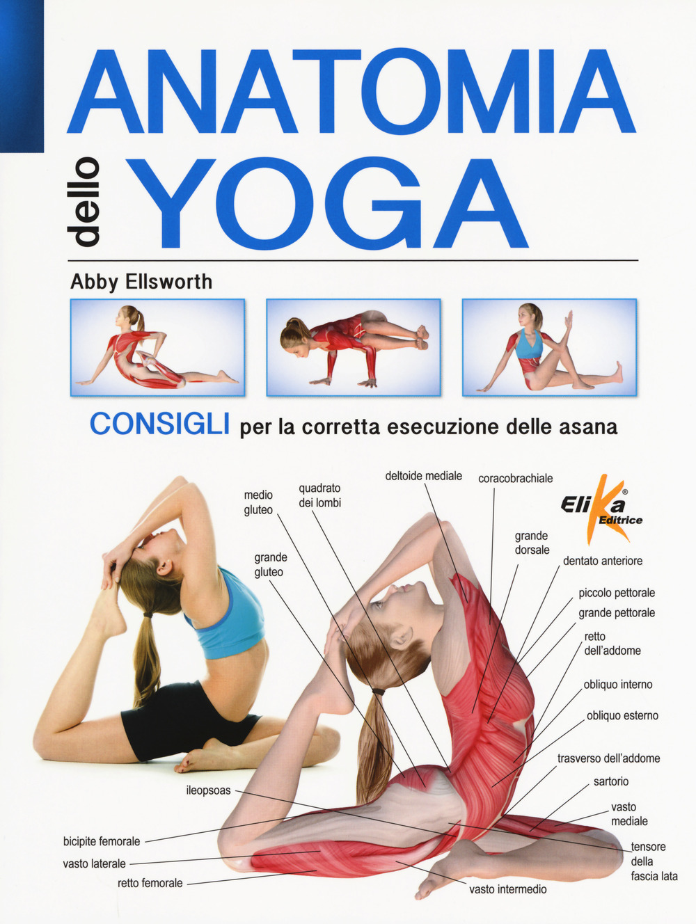 Anatomia dello yoga. Consigli per la corretta esecuzione delle asana